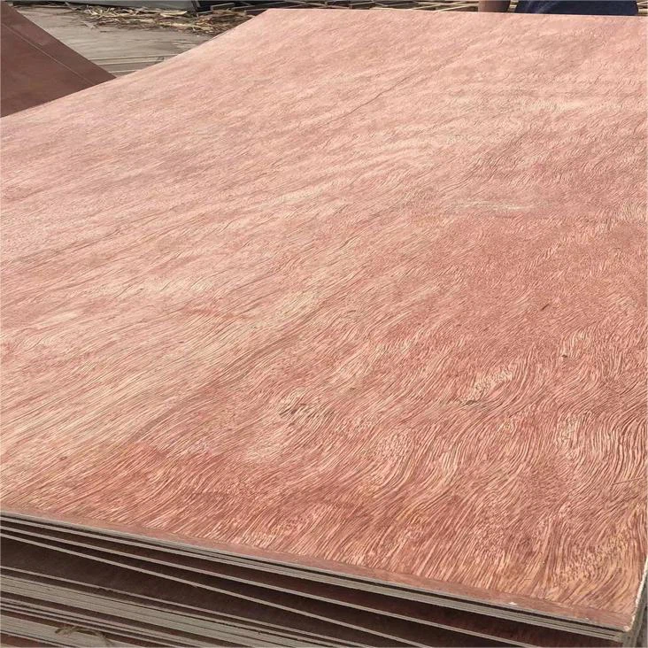 Bingtangor Faced Plywood