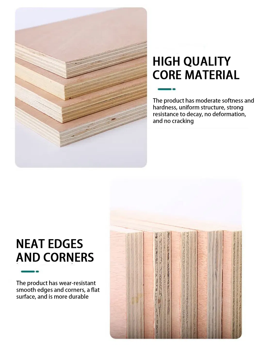 product-1060-1436 product-1060-1436